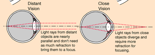 what is human eye accommodation means